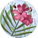 Taelyn Hill profile picture